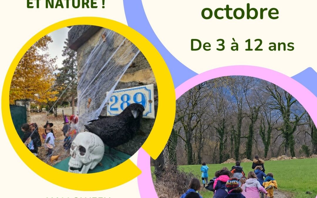Enseignement et loisirs pendant les vacances